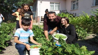Yunus Emre öğretmen, okulda öğrencileriyle yetiştirdiği sebzelerini sütle besliyor