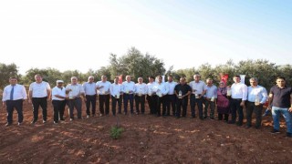 Zeytincinin haşerelere karşı mücadelesine önemli destek