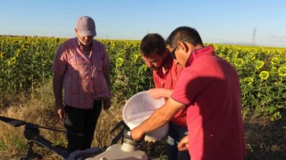 Zirai ilaçlamada yeni dönem