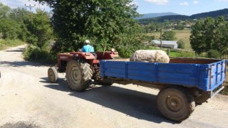250 yıllık sütunlar kayıptı, ünlü ailenin villasında bulundu