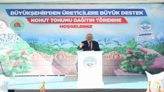 260 ton nohutun hasadına başlanacak
