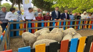 5 ton atık topladı, 10 kuzu kazandı