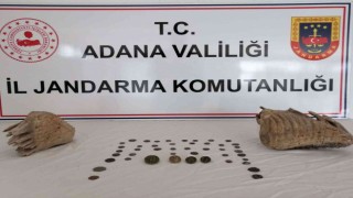 Adanada mamut fosili ele geçirildi