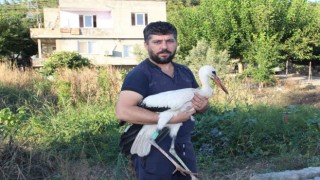 Adını Leylektar koydu, yorgun düşen leyleği iki gün misafir etti