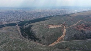Adıyamana tam teşekküllü hayvan hastanesi kazandırılıyor
