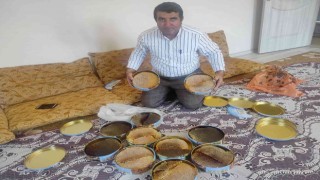 Ağaç kovuklarından çıkardıkları balın kilosunu bin 500 liradan satıyorlar