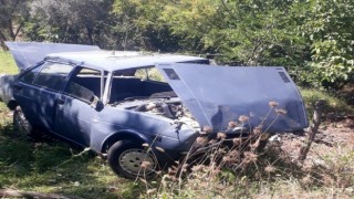 Ağaçlık alana uçan otomobilin sürücüsü yaralandı