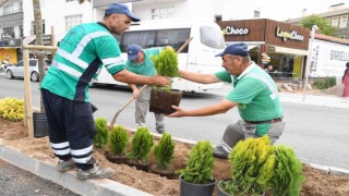 Aksarayda park ve yeşil alanlarda şehre uyum sağlayabilen ağaç türleri dikiliyor