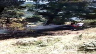 Alevler İç Anadolunun en büyük ormanına sıçramadan söndürüldü
