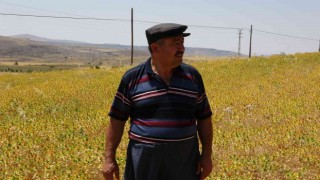 “Anız yangınında hayvanlar ölüyor ve toprağın yapısı değişiyor”