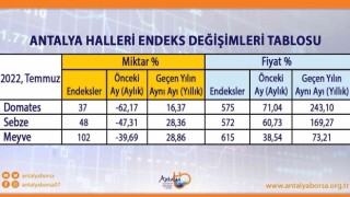 Antalya Ticaret Borsası Temmuz ayı hal endeksini açıkladı