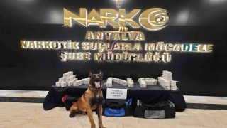 Antalyada bir TIRda 50 kilo uyuşturucu ele geçirildi