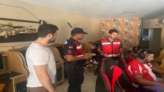 Antalyada jandarmadan kumar operasyonu