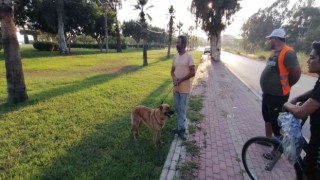Antalyada otluk alanda köpek tarafından bulunan cesedin kimliği belirlendi