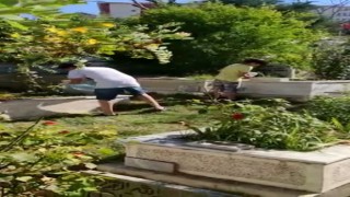 Arnavutköyde yürekleri ısıtan görüntü