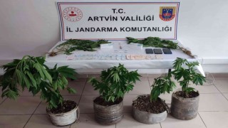 Artvinde jandarmadan uyuşturucu operasyonu: 3 tutuklama