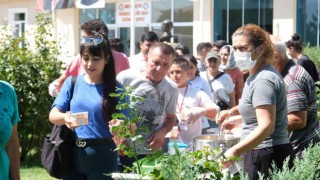 Aşure kazanları barış ve kardeşlik için kaynadı