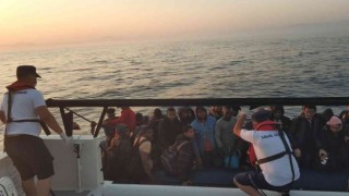 Aydında 35 düzensiz göçmen yakalandı