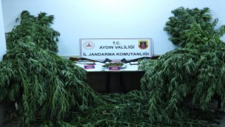 Aydında 5 şahıs uyuşturucudan tutuklandı