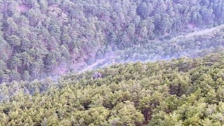 Aydındaki orman yangını söndürüldü