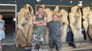 Balıkesirde atık ağaçlar maharetli ellerde sanat eserine dönüşüyor