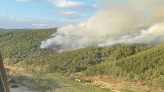 Balıkesirde orman yangını
