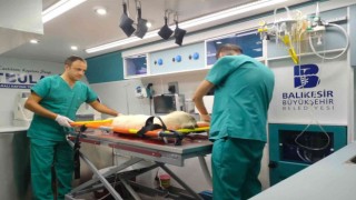 Balıkesirde sokak hayvanları Vetbüs ve Vetbülansa emanet