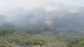 Balıkesirdeki orman yangınına anında müdahale