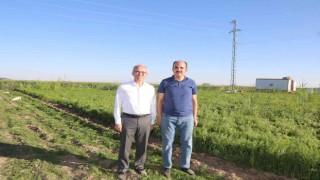 Başkan Altay: “Konya her manada üreten bir şehir”