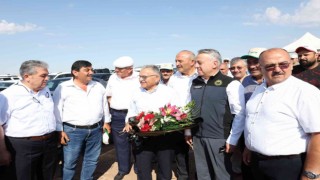 Başkan Büyükkılıç, Felahiyede nohut hasadı yaptı