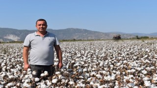Başkan Çondur: “Fiyatlarla birlikte pamuk ekim alanları da arttı”