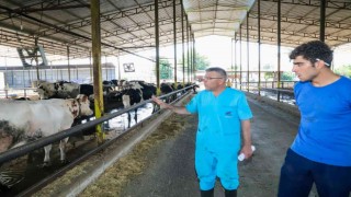 Başkan Güler, bir günlüğüne mesleğine geri dönüp hayvanlar için çalıştı