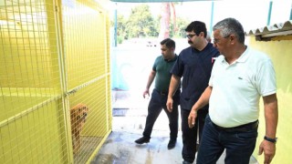 Başkan Topaloğlu: “Tüm canlıları korumaya devam edeceğiz”