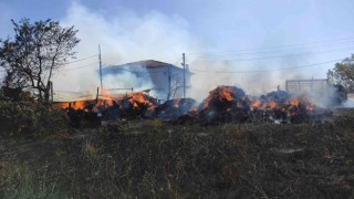 Bebek gibi büyüttüğü 40 koyunu telef olan çiftçi gözyaşlarına boğuldu