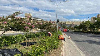 Bilecik Belediyesinin fiziki çalışmalarıyla kent geneli güzelleşiyor