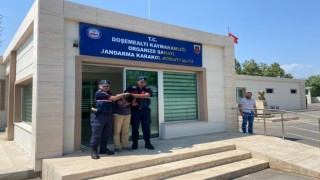 Boşanma aşamasındaki eşini öldüren zanlı yakalandı