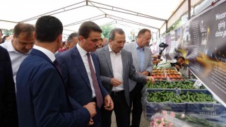 Bu köyün göç problemi yok
