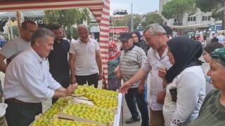 Buharkentte vatandaşlara 2 ton taze incir dağıtıldı