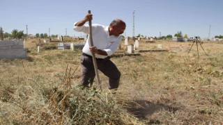 Bulanık Mezarlığında yenileme çalışması