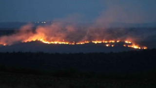 Bulgaristandaki yangın Edirnenin sınır köylerine dayandı: Alevler ürkütücü boyuta ulaşıyor