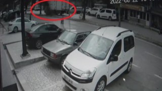 Bursada 70 yıllık tarihi çınar kamyonun çarpmasıyla devrildi