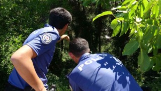 Bursada gezinmek için çıktığı yoldan 30 metre aşağıya düştü
