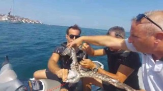 Bursada martı kurtarma operasyonu
