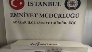 Büyükadada 3 adrese eş zamanlı uyuşturucu operasyonu