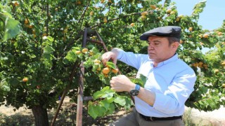 Büyükşehir ‘Çevre Dostu Çiftçi Kart Projesini başlatıyor
