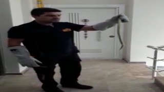 Çamaşır makinesinin arkasındakini görünce itfaiyeden yardım istedi