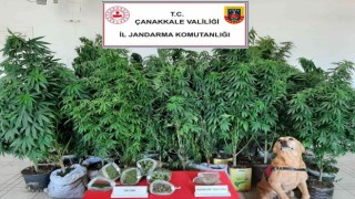 Çanakkalede uyuşturucu operasyonları: 7 gözaltı