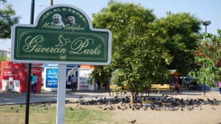 Çarşamba Belediyesi onları unutmadı