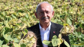 CHP Lideri Kılıçdaroğlu: "Ayçiçeği taban fiyatı ton başına 16 bin lira olmalı"