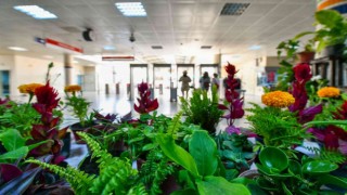 ‘Çiçek Takası uygulamasının adresi bu kez Koru metrosu